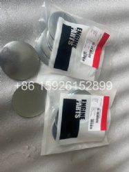 6CT engine plugs  3901969